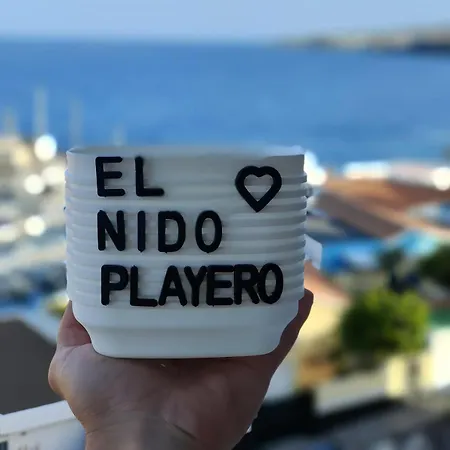 Apartament The Nest *