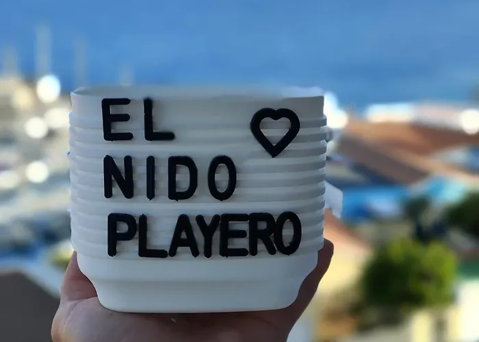 Apartament The Nest *